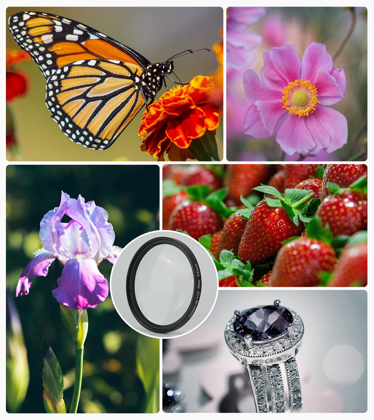 APEXEL Phone Lens 52mm/67mm Macro Shooting Magnification Filter - Image 6