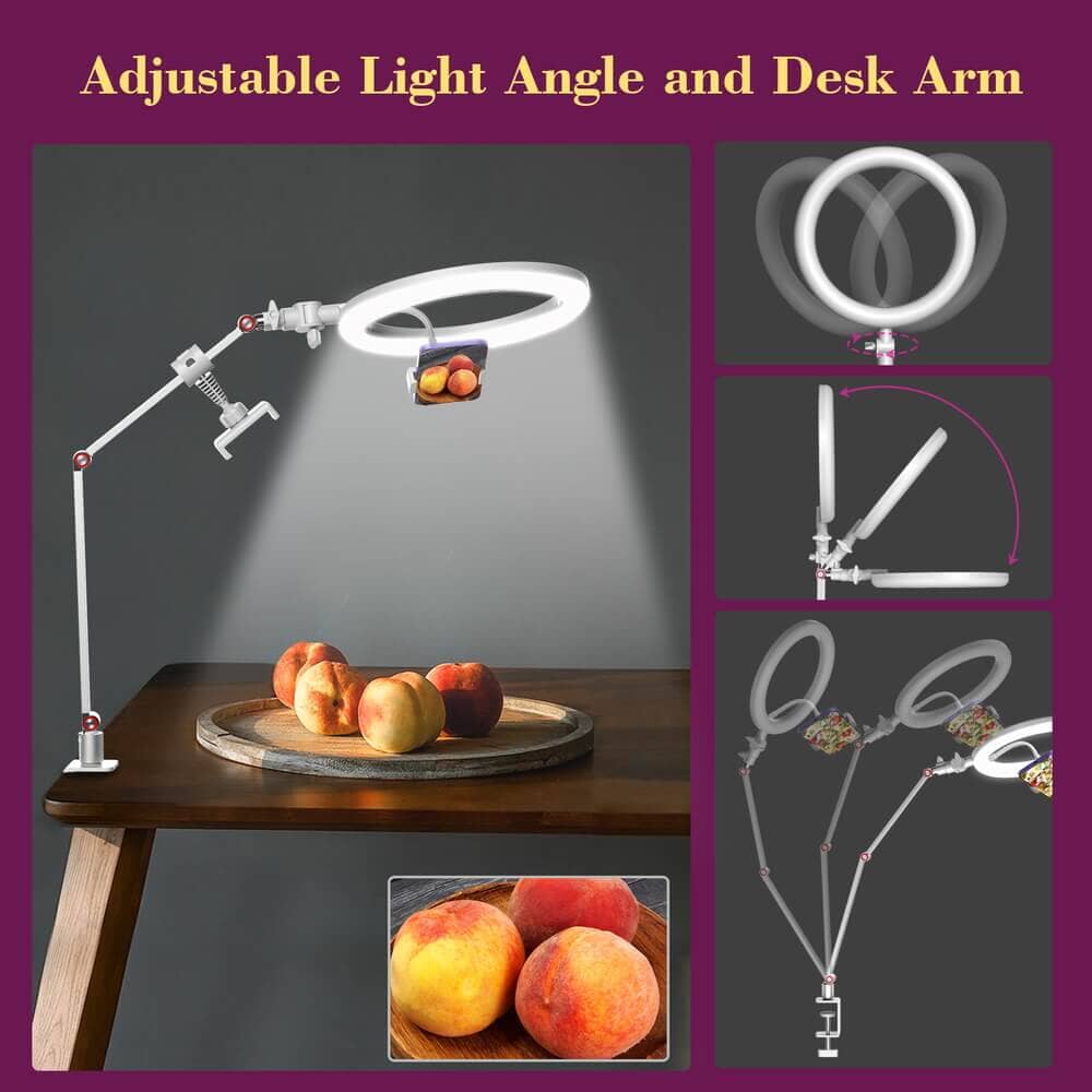 FL20 10 Inch Ring Light Foldable Portable with Stand and Phone Holder - Image 12