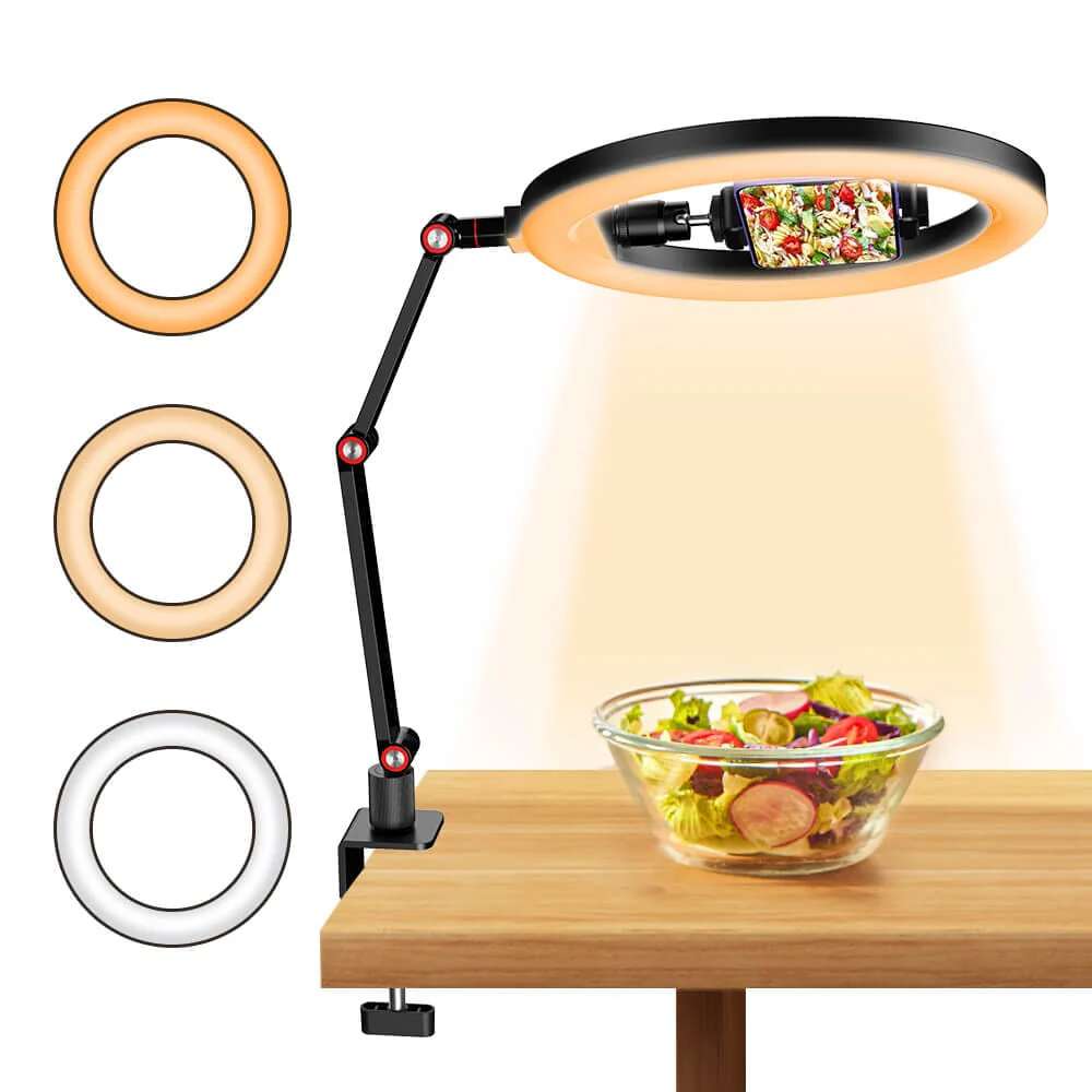 FL20 10 Inch Ring Light Foldable Portable with Stand and Phone Holder - Image 9