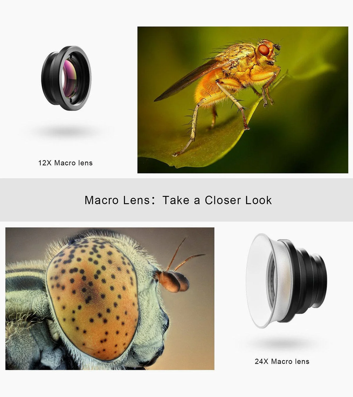 2 in 1 12x/24x Macro Lens - Image 4